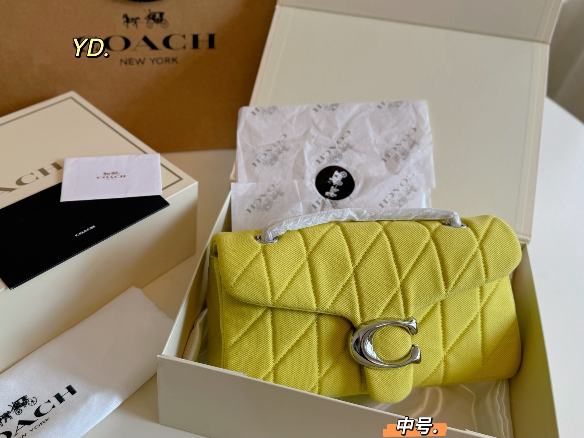 coach bag 222